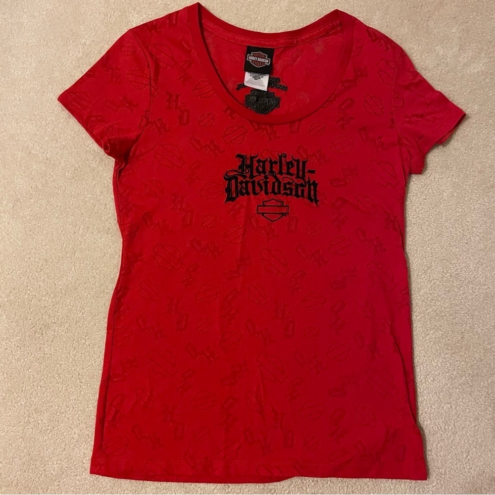 HARLEY-DAVIDSON tee-large EUC